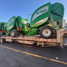 photo_2026-01-12_16-33-14